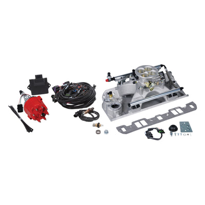 Pro Flo 4 Fuel Injection Kit <br> 1979 American Motors Spirit