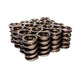 Engine Valve Spring Kit <br> Please check the compatibility chart for details