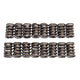 Engine Valve Spring Kit <br> Please check the compatibility chart for details