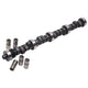Engine Camshaft and Lifter Kit <br> Small Block Ford Windsor 351 V8 Engine