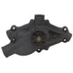 Engine Water Pump <br> Small Block Chevy 262-400 (4.3-6.6L) Engines