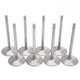 Engine Intake Valve <br> For 6041/6040