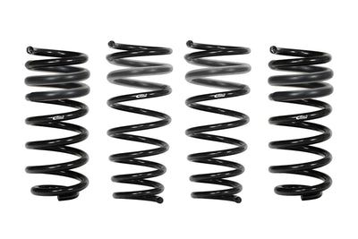 Pro-Kit Performance Lowering Springs <br> 02-08 Audi A4 Quattro