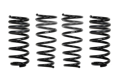 Pro-Kit Performance Lowering Springs <br> 06-08 Mercedes-Benz CLK350