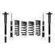 Pro-System Kit <br> 15-01 Chrysler 300