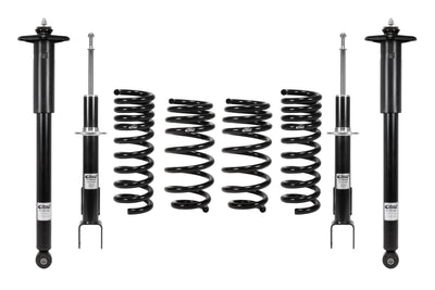 Pro-System Kit <br> 15-01 Chrysler 300