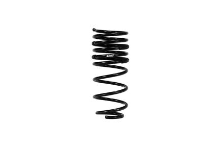Pro-Kit Performance Lowering Springs <br> 11-04 Ford Mustang