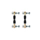 Rear Adjustable Anti-Roll End Link Kit <br> 03-07 Honda Accord, 04-08 Acura TSX