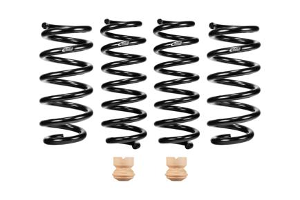 Pro-Kit Performance Lowering Springs <br> 21-04 Acura TLX