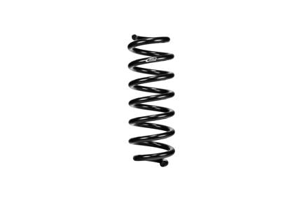 Pro-Kit Performance Lowering Springs <br> 21-04 Acura TLX