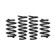 Pro-Kit Performance Lowering Springs <br> 22-03 Lucid Air