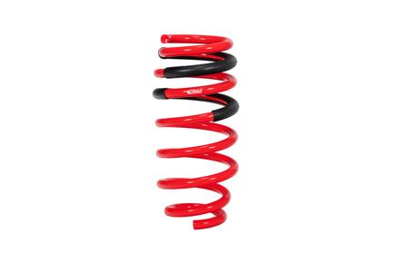 Pro-Kit Performance Lowering Springs <br> 15-03 Dodge Challenger
