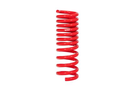 Pro-Kit Performance Lowering Springs <br> 15-03 Dodge Challenger