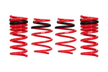 Pro-Kit Performance Lowering Springs <br> 15-03 Dodge Charger