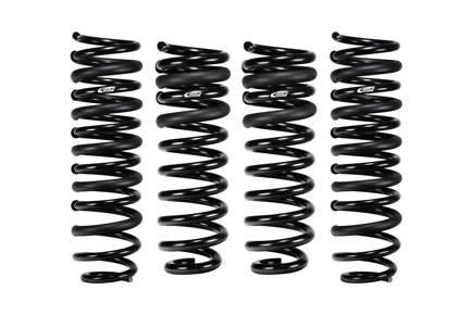 Pro-Kit Performance Lowering Springs <br> 22-04 Ford F-150 Lightning