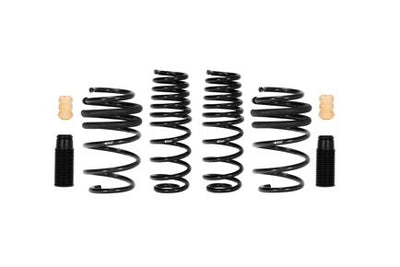 Pro-Kit Performance Lowering Springs <br> 19-01 Hyundai Veloster