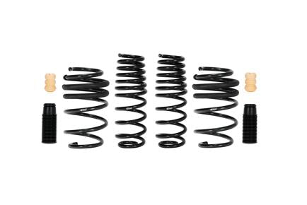 Pro-Kit Performance Lowering Springs <br> 19-01 Hyundai Veloster