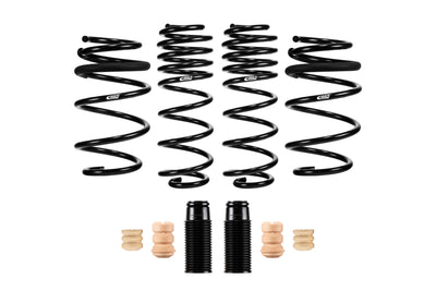 Pro-Kit Performance Lowering Springs <br> 19-04 Kia Forte