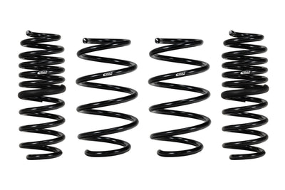 Pro-Kit Performance Lowering Springs <br> 20-04 Kia Forte