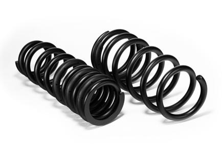 Pro-Kit Performance Lowering Springs <br> 22-04 Lexus IS500
