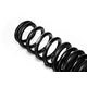Pro-Kit Performance Lowering Springs <br> 22-04 Lexus IS500