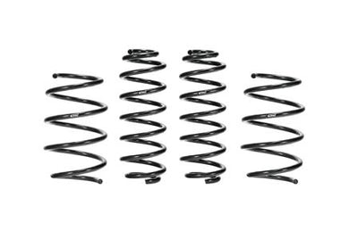 Pro-Kit Performance Lowering Springs <br> 19-04 Toyota Corolla