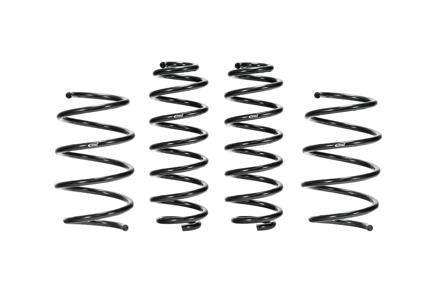 Pro-Kit Performance Lowering Springs <br> 19-04 Toyota Corolla