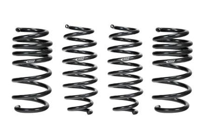 Pro-Kit Performance Lowering Springs <br> 22-03 Tesla Model 3