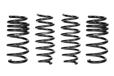 Pro-Kit Performance Lowering Springs <br> 22-03 Tesla Model 3