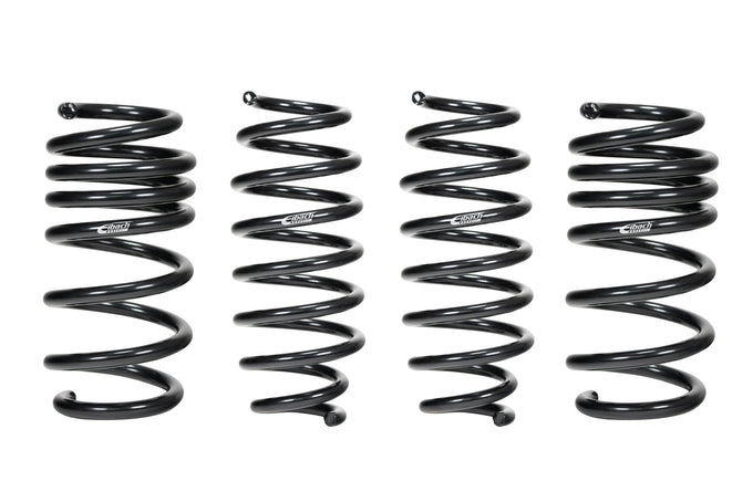 Pro-Kit Performance Lowering Springs <br> 22-03 Tesla Model 3