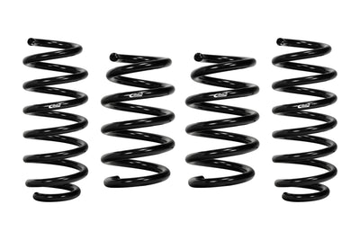 Pro-Kit Performance Lowering Springs <br> 20-04 Tesla Y