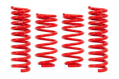 Sportline Lowering Springs Kit <br> 17-24 Audi RS3