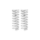 Pro-Truck Lift Kit (Front Springs Only) 1.6in <br> 21-04 Ram 1500