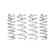 Pro-Lift Kit Springs <br> 21-04 Ford Mustang Mach-E