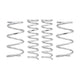 Pro-Lift Kit Springs <br> 13-07 Subaru Crosstrek