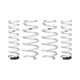 Pro-Lift Kit Springs <br> 19-24 Subaru Forester, Outback
