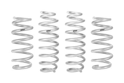Pro-Kit Performance Lowering Springs <br> 20-04 Tesla Y