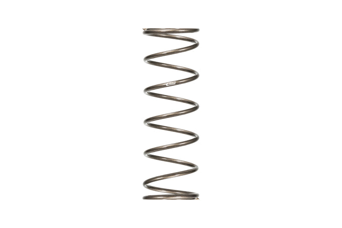 Platinum Rear Spring <br> Universal Fit