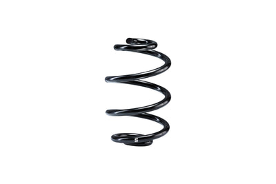 Replacement Line Rear Spring <br> 09-12 Audi A4 Quattro