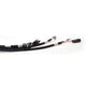 XFI Harness for GM TPI Sensors.<br>Universal