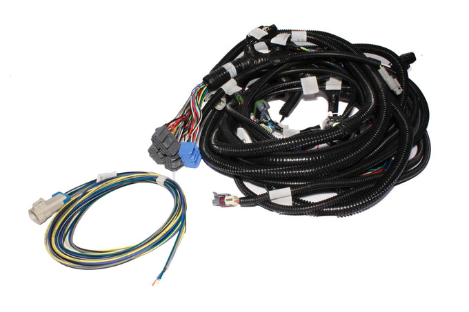 XFI Main Harness for GM LS1-3, 6, 7, 9 and LS Trucks<br>Universal
