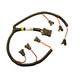 XFI Inector Harness for Buick V6 w/Minitimer Injectors<br>Universal