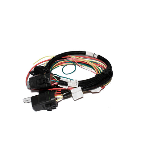 Electric Fan and Fuel Pump Harness for XFI<br>Universal