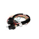 Electric Fan and Fuel Pump Harness for XFI<br>Universal