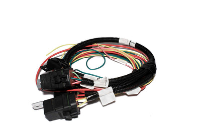 Electric Fan and Fuel Pump Harness for XFI<br>Universal
