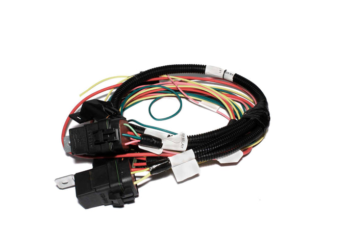 Electric Fan and Fuel Pump Harness for XFI<br>Universal