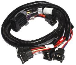 EZ EFI 2.0 Main Harness<br>Universal
