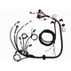 Wiring Harness W/Relay, Fast M Ain<br>Universal