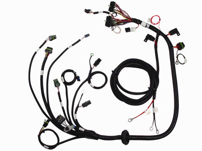 Wiring Harness W/Relay, Fast M Ain<br>Universal