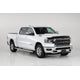 Carbon Fiber Look Buggard <br>19-24 Ram 1500